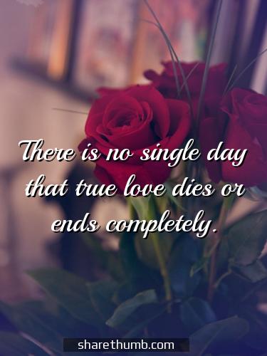 true love stories never have endings quote